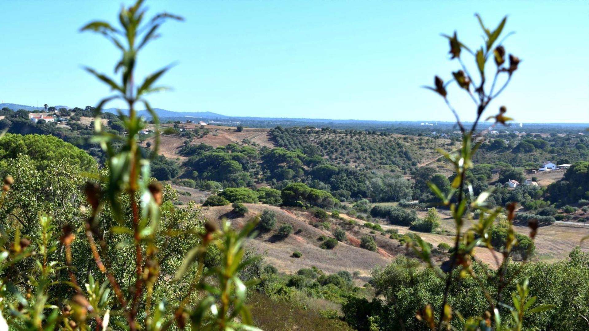 Affittacamere Monte Sardinha Santiago do Cacém Esterno foto