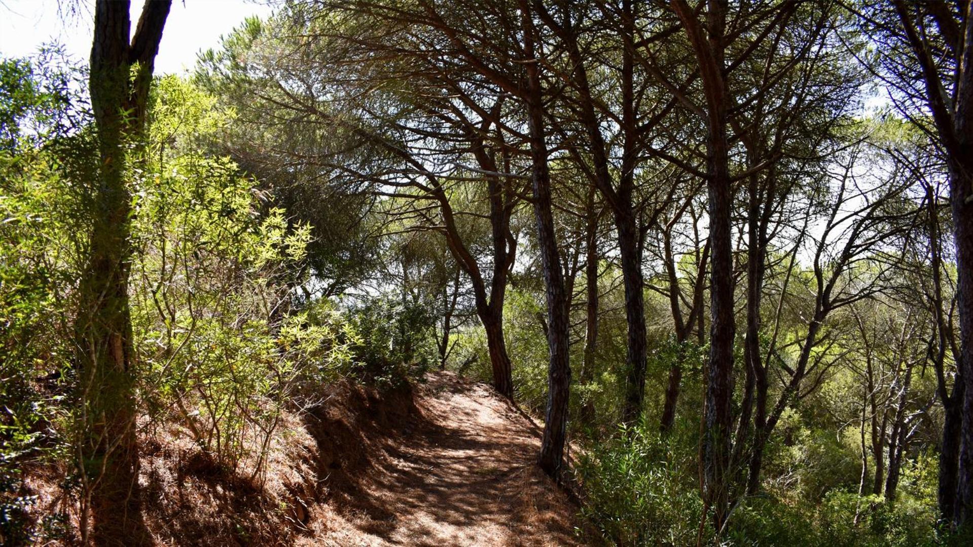 Affittacamere Monte Sardinha Santiago do Cacém Esterno foto